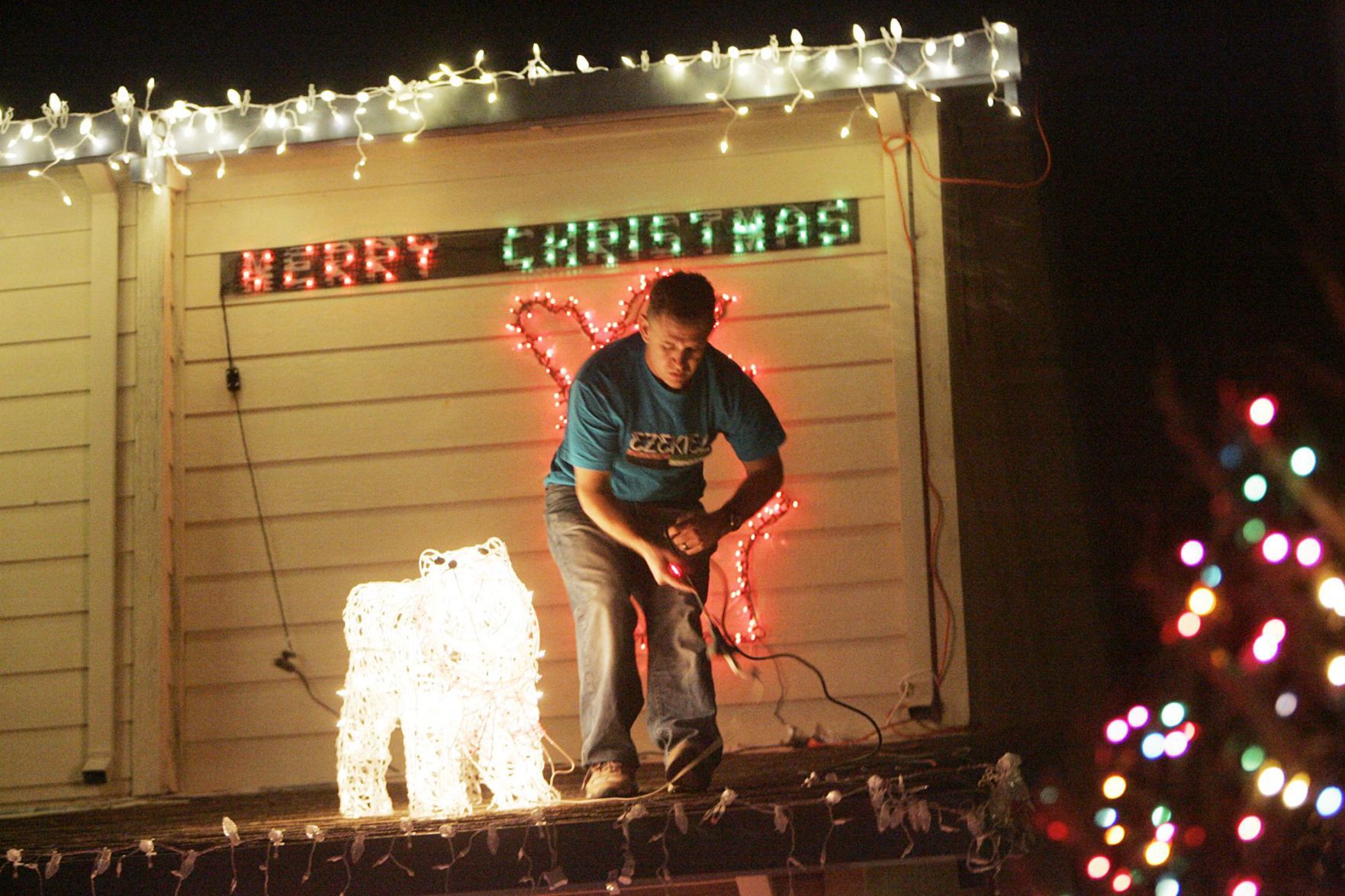 Paradise Drive Christmas lights